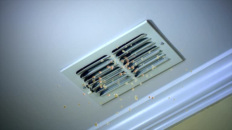 Best General Air Duct Cleaning  in Haiku Pauwela, HI