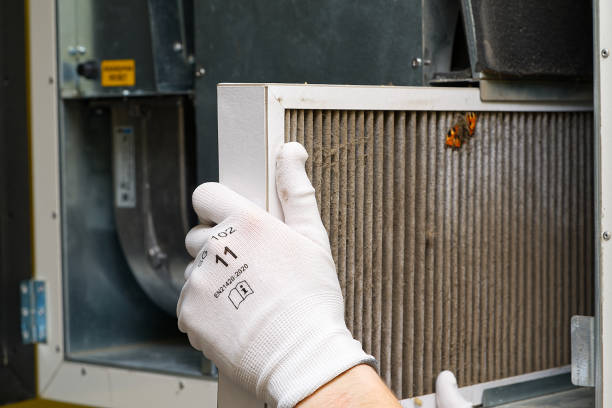Best Air Duct Cleaning Near Me  in Haiku Pauwela, HI