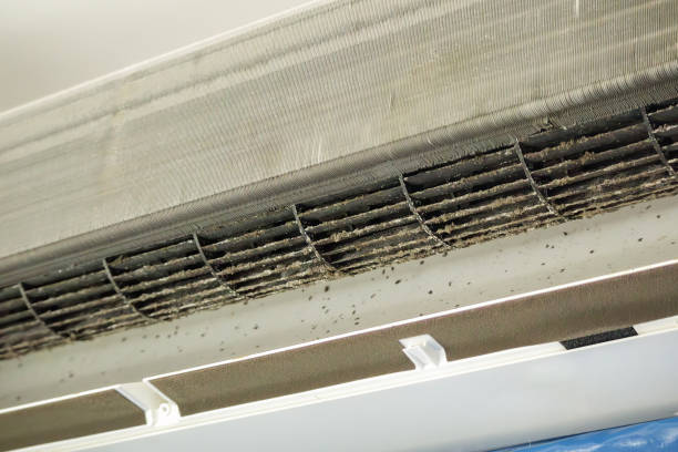 Best Ductwork Cleaning Services  in Haiku Pauwela, HI